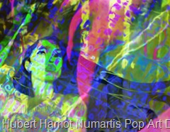 Bart-Skywalker Hubert Hamot Numartis Pop Art Digital