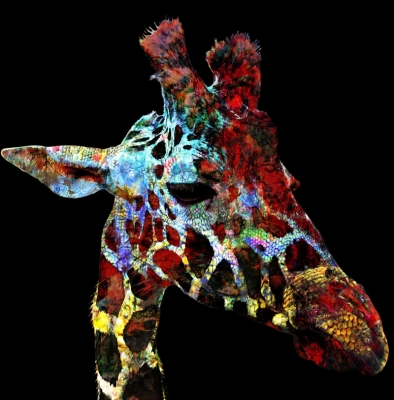 Girafe